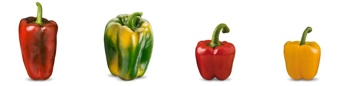 pimientosfito|peroti|peroti1